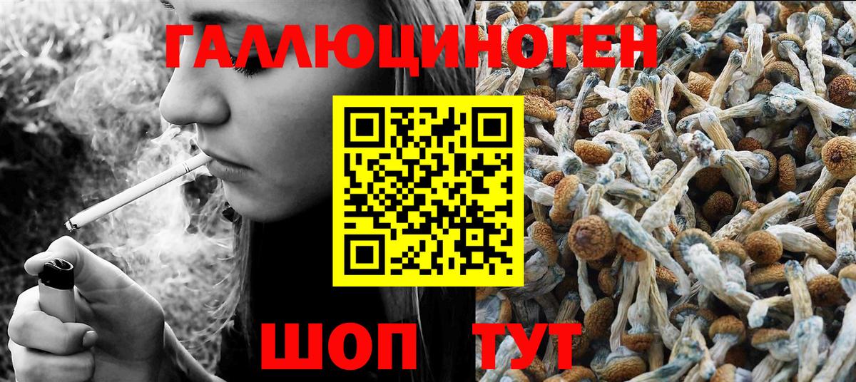 Псилоцибиновые грибы Magic Shrooms Шатура